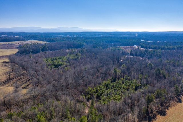39.19ac SE Trewhitt Road, Cleveland, TN 37323