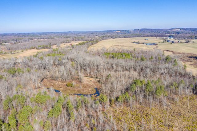39.19ac SE Trewhitt Road, Cleveland, TN 37323