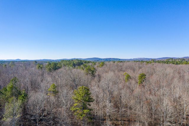 39.19ac SE Trewhitt Road, Cleveland, TN 37323