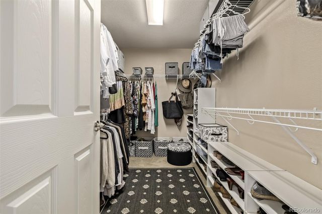 2289 Moss Place, Erie, CO 80516