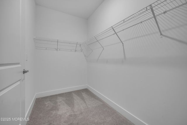 28311 Radford Court 2829, Monroe, NJ 08831