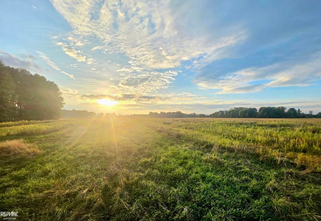 1142 Wales Center Road, Wales Twp, MI 48027