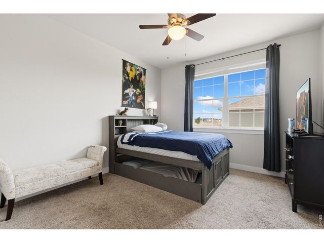 270 Mt Harvard Ave, Severance, CO 80550