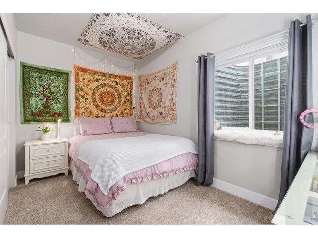 270 Mt Harvard Ave, Severance, CO 80550