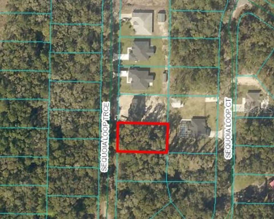 17 SEQUOIA TRACE, Ocklawaha, FL 32179