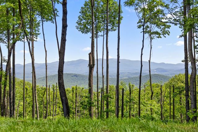 Lot 376 Calloway Mountain Road, Talking Rock, GA 30175
