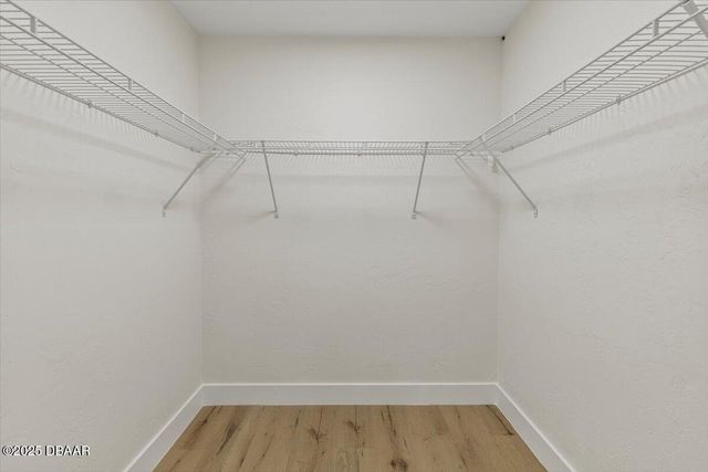 6114 Palmas Drive, Port Orange, FL 32127