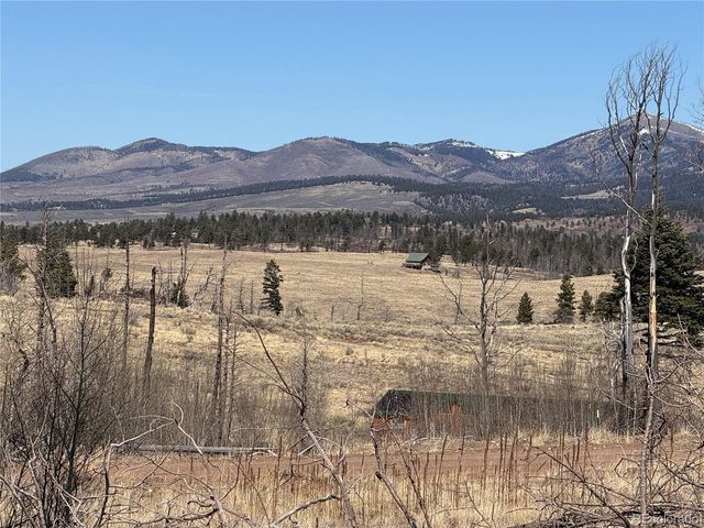 999 Foy Pl, Fort Garland, CO 81133
