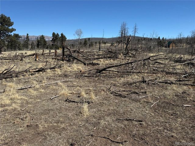 999 Foy Pl, Fort Garland, CO 81133