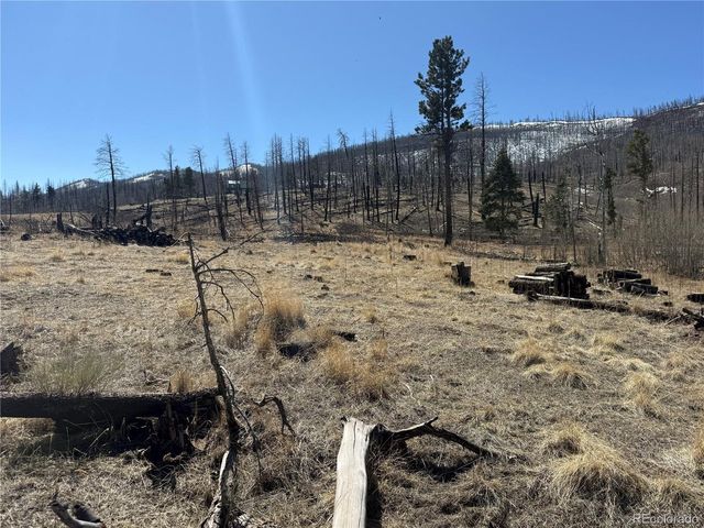 999 Foy Pl, Fort Garland, CO 81133