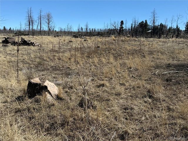 999 Foy Pl, Fort Garland, CO 81133
