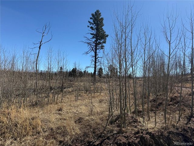 999 Foy Pl, Fort Garland, CO 81133