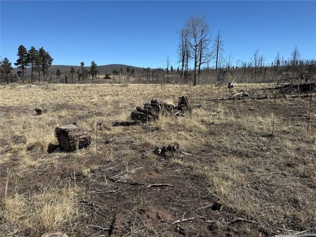 999 Foy Pl, Fort Garland, CO 81133