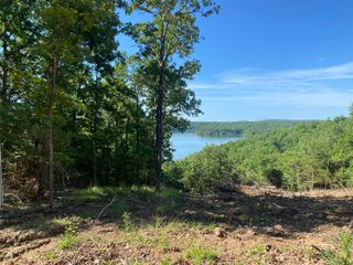 000 Driftwood Drive, Theodosia, MO 65761