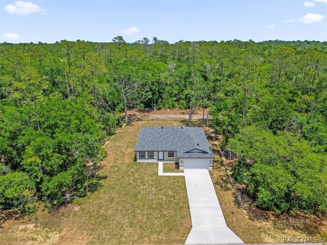 1377 W Alexander Drive, Citrus Springs, FL 34434