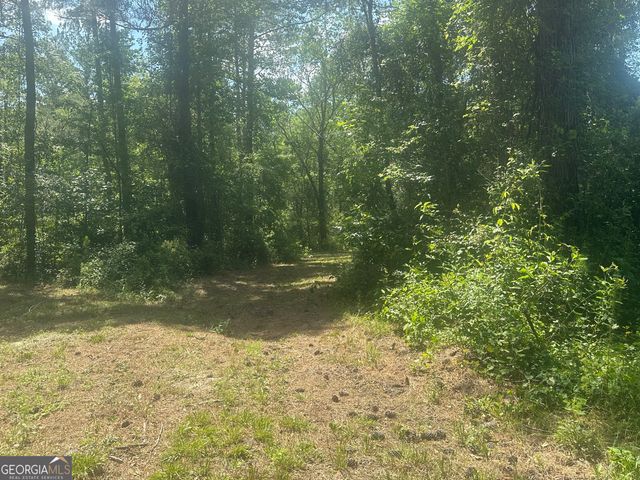 925 Cleary Road, Brooklet, GA 30415