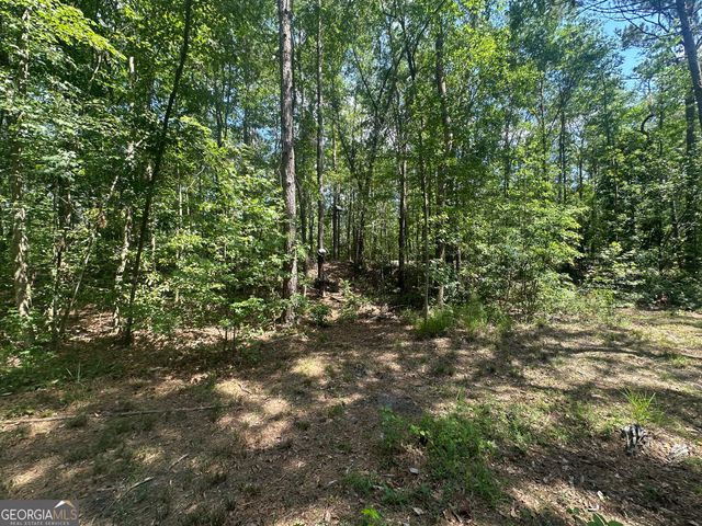 925 Cleary Road, Brooklet, GA 30415