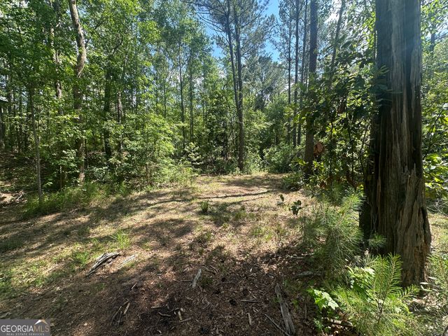 925 Cleary Road, Brooklet, GA 30415