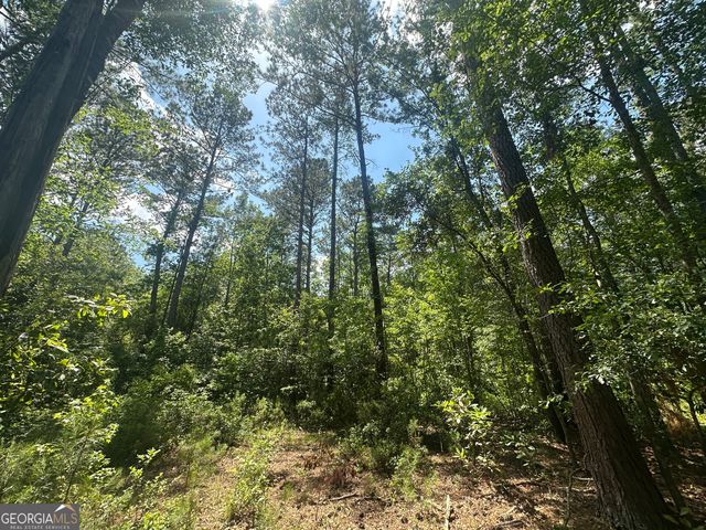 925 Cleary Road, Brooklet, GA 30415