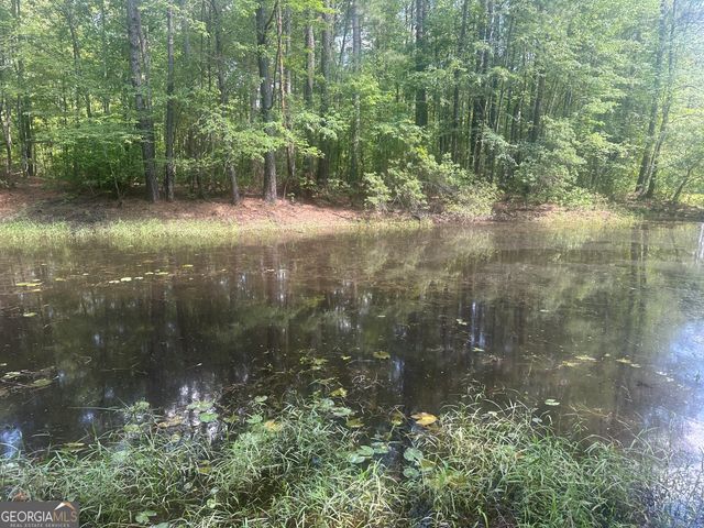 925 Cleary Road, Brooklet, GA 30415