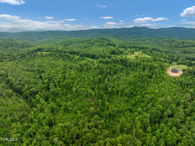 Tbd Walnut Mountain Road, Roan Mountain, TN 37687