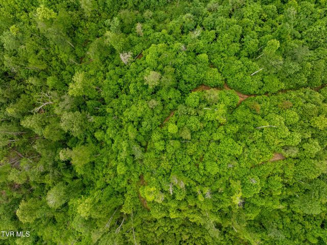 Tbd Walnut Mountain Road, Roan Mountain, TN 37687