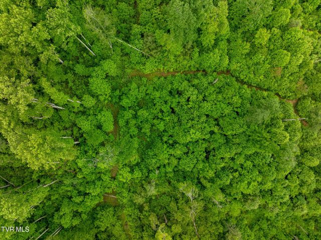 Tbd Walnut Mountain Road, Roan Mountain, TN 37687