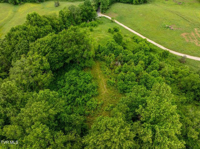 Tbd Walnut Mountain Road, Roan Mountain, TN 37687