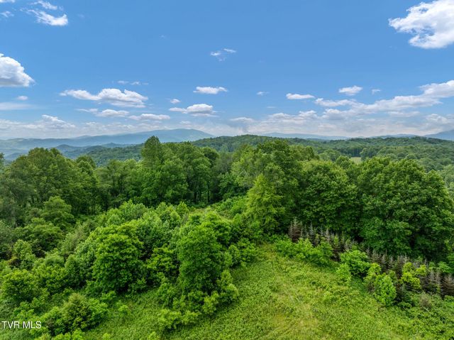 Tbd Walnut Mountain Road, Roan Mountain, TN 37687