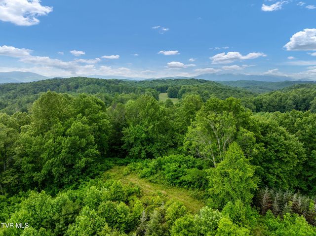 Tbd Walnut Mountain Road, Roan Mountain, TN 37687