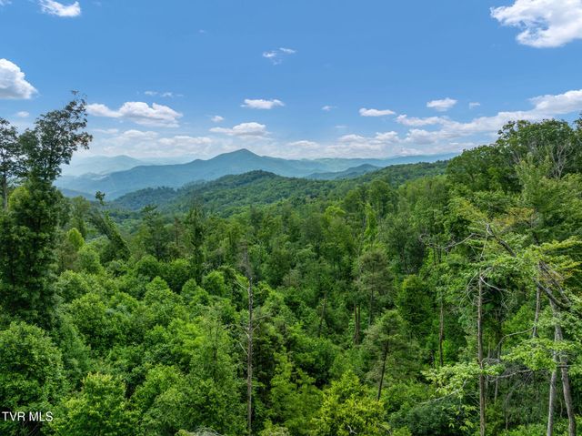 Tbd Walnut Mountain Road, Roan Mountain, TN 37687
