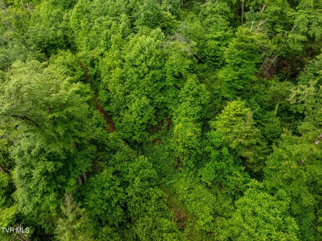 Tbd Walnut Mountain Road, Roan Mountain, TN 37687