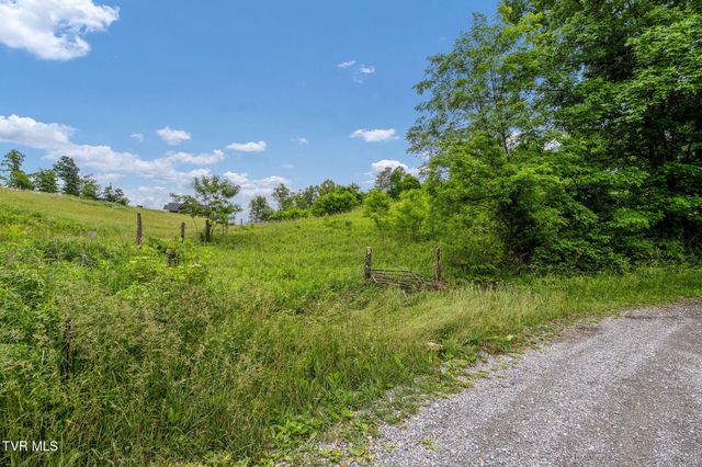Tbd Walnut Mountain Road, Roan Mountain, TN 37687