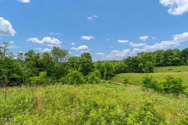 Tbd Walnut Mountain Road, Roan Mountain, TN 37687