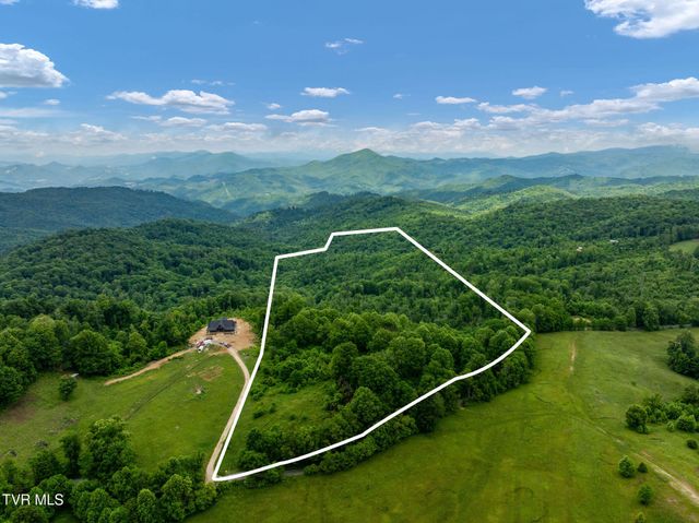 Tbd Walnut Mountain Road, Roan Mountain, TN 37687