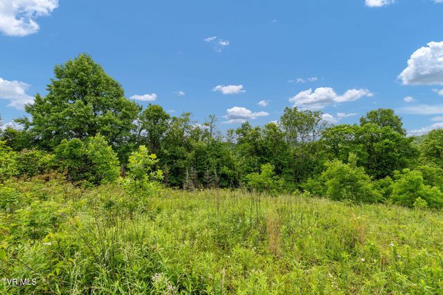 Tbd Walnut Mountain Road, Roan Mountain, TN 37687