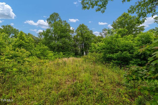 Tbd Walnut Mountain Road, Roan Mountain, TN 37687