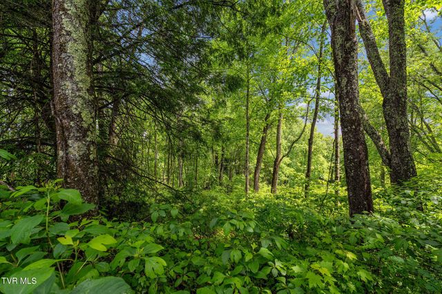 Tbd Walnut Mountain Road, Roan Mountain, TN 37687