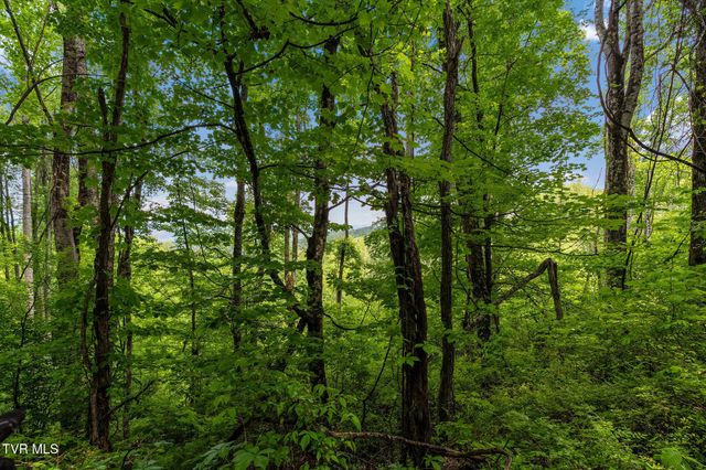 Tbd Walnut Mountain Road, Roan Mountain, TN 37687