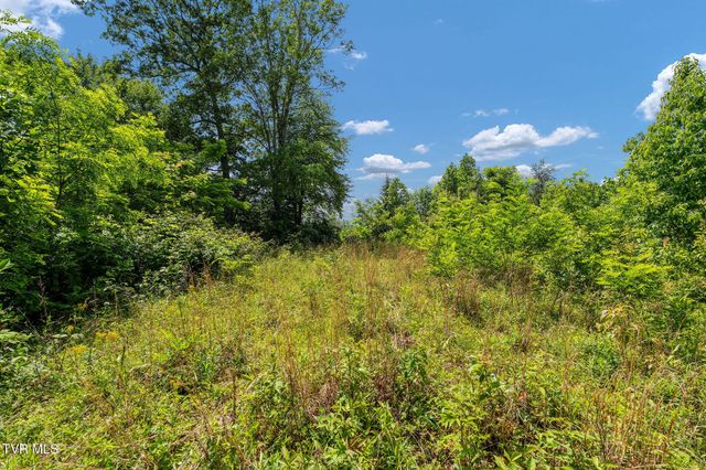 Tbd Walnut Mountain Road, Roan Mountain, TN 37687