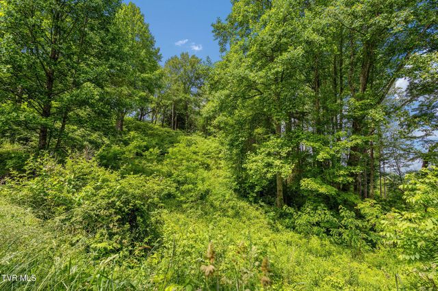 Tbd Walnut Mountain Road, Roan Mountain, TN 37687