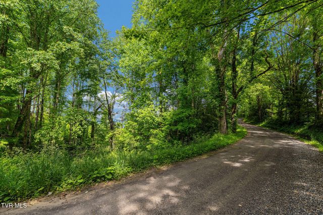 Tbd Walnut Mountain Road, Roan Mountain, TN 37687