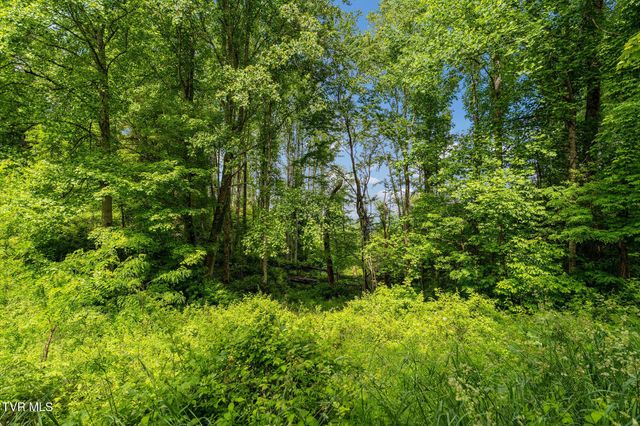 Tbd Walnut Mountain Road, Roan Mountain, TN 37687