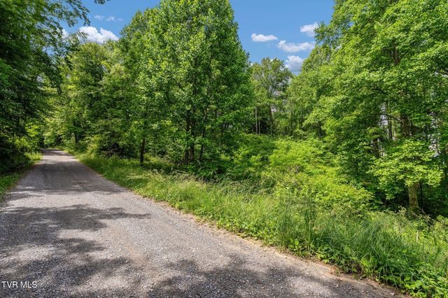 Tbd Walnut Mountain Road, Roan Mountain, TN 37687