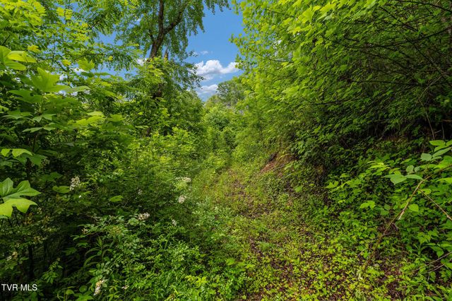 Tbd Walnut Mountain Road, Roan Mountain, TN 37687