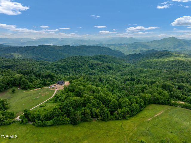 Tbd Walnut Mountain Road, Roan Mountain, TN 37687
