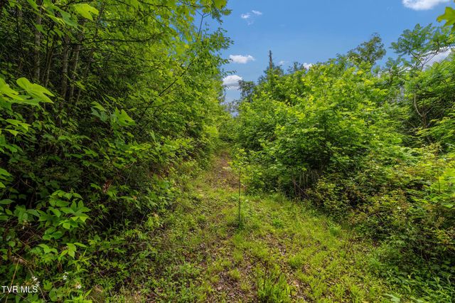 Tbd Walnut Mountain Road, Roan Mountain, TN 37687