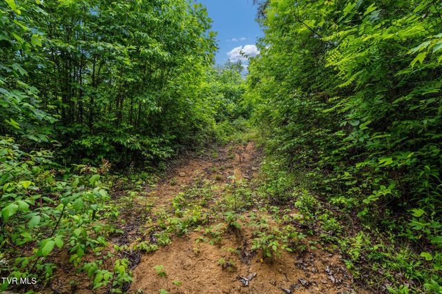 Tbd Walnut Mountain Road, Roan Mountain, TN 37687