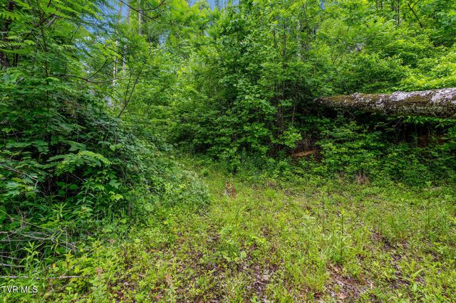 Tbd Walnut Mountain Road, Roan Mountain, TN 37687