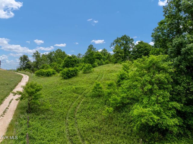 Tbd Walnut Mountain Road, Roan Mountain, TN 37687